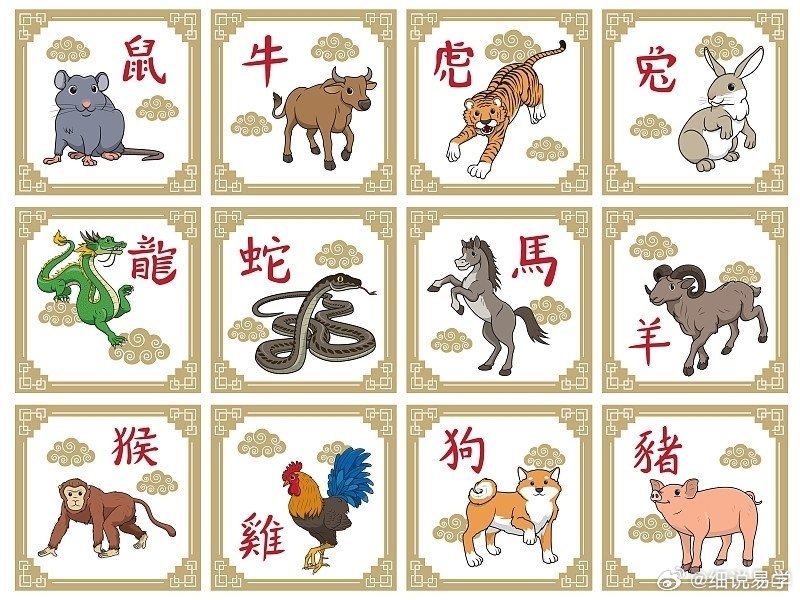脸部变化会观察,言语重点善摸抓是什么生肖仔细释义、解释与落实、定量解答解释落实