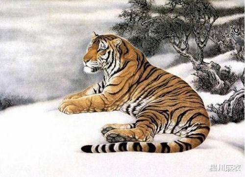大显身手无人敌猜一生肖，全面释义、统计解答解释落实