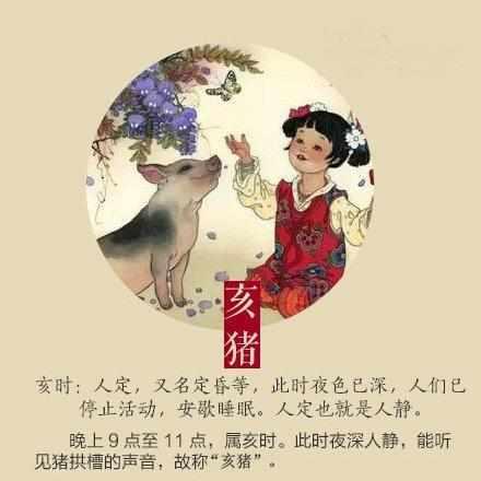 脸部变化会观察,言语重点善摸抓是什么生肖仔细释义、解释与落实、定量解答解释落实