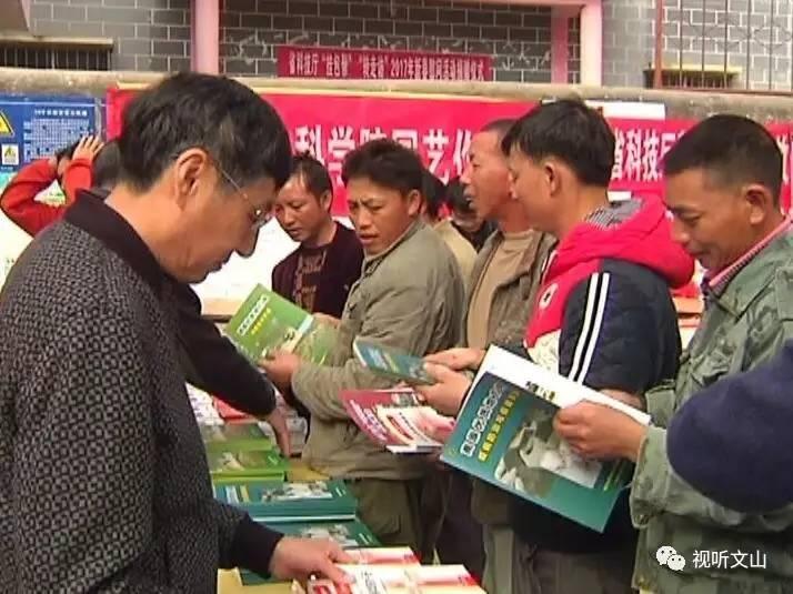 快快活活打一准确生肖精选解析、解释与落实、深度解答解释落实