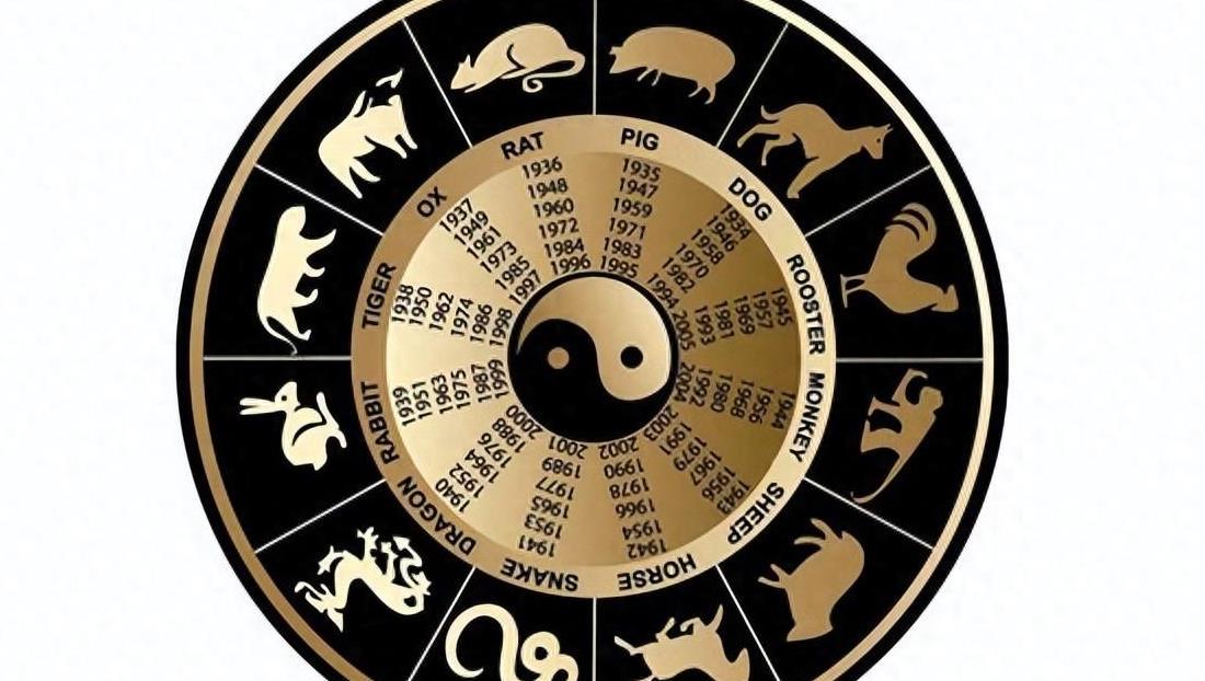 十字路口易迷失，误入歧途无所得打一个准确生肖，详细解答、定量解答解释落实